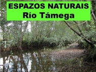 Espazos Naturais: Río Támega